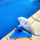 Business 3 image 1 POOL CARE Swimming Pool Maintenance & Repairs in Perth WA