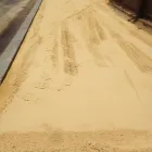 Business 2 image 3B EARTHMOVING Truck & Bus Rental in Perth WA