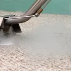 Business 6 image 711 CARPET STEAM CLEANING SYDNEY Carpet Furniture & Upholstery Cleaning in Sydney NSW