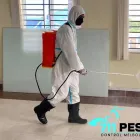 Business 2 image 711 PEST CONTROL MELBOURNE Pest Removal in Melbourne VIC