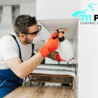Business 3 image 711 PEST CONTROL MELBOURNE Pest Removal in Melbourne VIC