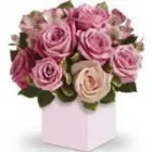 Business 1 image A FLORAL MOMENT Gifts in Kelmscott WA