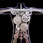 Business 9 image AA STRATEGIC PROJECT MANAGEMENT Whiplash in Melbourne VIC