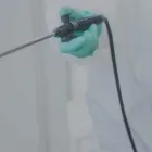 Business 3 image ACE PEST CONTROL BRISBANE Pest Control in Brisbane QLD