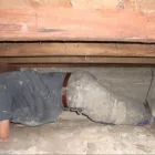 Business 1 image ACTION PROPERTY INSPECTIONS Building Inspection in Brisbane QLD