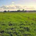 Business 3 image ACTON CORPORATE Real Estate Listing Services in Peppermint Grove WA