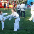 Business 4 image ALBURY TAEKWONDO Sporting Organisations in North Albury NSW