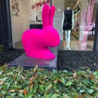 Business 5 image AMIA CLOTHING sell designer clothes online in Subiaco WA