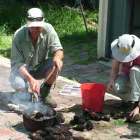 Business 1 image APACE AID COMMUNITY REVEGETATION NURSERY Seed Cleaning in North Fremantle WA