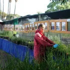 Business 6 image APACE AID COMMUNITY REVEGETATION NURSERY Seed Cleaning in North Fremantle WA
