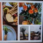 Business 10 image APERSPECTIVE Outdoor Furniture in Brunswick East VIC