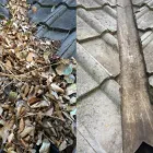 Business 2 image APEX VACUUM GUTTER CLEANING Roofing / Gutter Repairs in Melbourne VIC