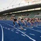 Business 2 image APT ASIA PACIFIC Turf in Dandenong South VIC