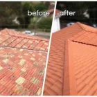 Business 4 image APT ROOFING PTY LTD Tile Roofing in Randwick NSW