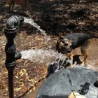 Business 3 image AQUARIAN DRILLING Water Bores in Perth WA