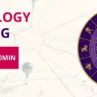 Business 1 image ASTROLOGER RAVI JI Astrology in Sydney NSW