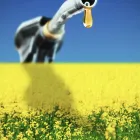 Business 3 image AUSCOL (WA) PTY LTD Recycling Services in North Fremantle WA