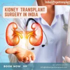 Business 1 image AVERAGE COST OF KIDNEY TRANSPLANT SURGERY IN INDIA Doctors in Brisbane QLD