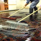 Business 1 image BACK 2 NEW RUG CLEANING BRISBANE Home Cleaning in Brisbane QLD