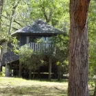 Business 2 image BARRINGTON TOPS NEST Holidays & Resorts in Bandon Grove NSW