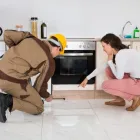 Business 2 image BE PEST FREE Pest Control in Brisbane QLD