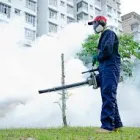 Business 3 image BE PEST FREE Pest Control in Brisbane QLD