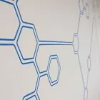 Business 1 image BE YOU NOT THEM Marketing Consultant in Manly NSW