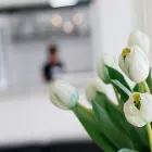 Business 3 image BEAUTY WITH PERFECTION PTY LTD Beauty Therapy in Toowoomba QLD