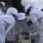 Business 6 image BEC'S BEEHIVE Honey Farm in Kallista VIC