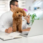 Business 5 image BELL PARTNERS FINANCE PERTH Mortgage Brokers in West Perth WA