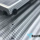 Business 1 image BEST BIRD PROOFING SYDNEY Bird Proofing in Sydney NSW
