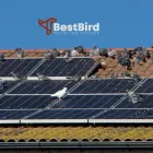 Business 4 image BEST BIRD PROOFING SYDNEY Bird Proofing in Sydney NSW