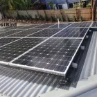 Business 5 image BEST BIRD PROOFING SYDNEY Bird Proofing in Sydney NSW
