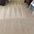 Business 3 image BEST CARPET CLEANING ARMSTRONG CREEK Carpet Cleaning & Protection in Armstrong Creek QLD