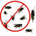 Business 4 image BEST FLIES CONTROL PERTH Pest Control in Perth WA