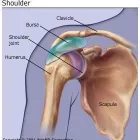Business 3 image BETTER HEALTH Sports Physiotherapy in Annandale NSW