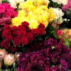Business 1 image BLESS FLOWERS Wedding Flowers in Sydney NSW