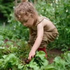 Business 1 image BLOSSOM MINI SCHOOL Child Care Centres in Brisbane QLD