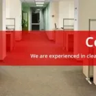 Business 7 image BLUE SKY CARPET CLEANING Steam Carpet Cleaning in Sydney NSW
