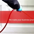 Business 8 image BLUE SKY CARPET CLEANING Steam Carpet Cleaning in Sydney NSW