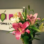 Business 5 image BOTTOMS UP COLONIC CLINIC BUNDABERG Organic Products in Bundaberg QLD