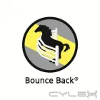 Business 1 image BOUNCE BACK HORSE FENCING Horse Fencing in Wetherill Park NSW