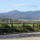 Business 2 image BOUNCE BACK HORSE FENCING Horse Fencing in Wetherill Park NSW