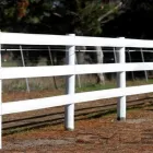 Business 3 image BOUNCE BACK HORSE FENCING Horse Fencing in Wetherill Park NSW