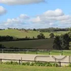 Business 6 image BOUNCE BACK HORSE FENCING Horse Fencing in Wetherill Park NSW