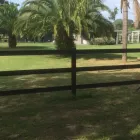 Business 9 image BOUNCE BACK HORSE FENCING Horse Fencing in Wetherill Park NSW