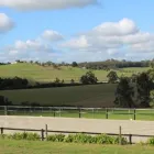 Business 10 image BOUNCE BACK HORSE FENCING Horse Fencing in Wetherill Park NSW