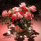 Business 4 image BOUQUET MELBOURNE Wedding Planning & Planners in Northcote VIC