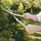 Business 1 image BP BLITZ Gardeners in Adelaide SA