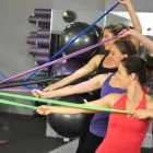 Business 2 image BPS TENSEGRITY ALEXANDRIA Reformer Pilates in Sydney NSW